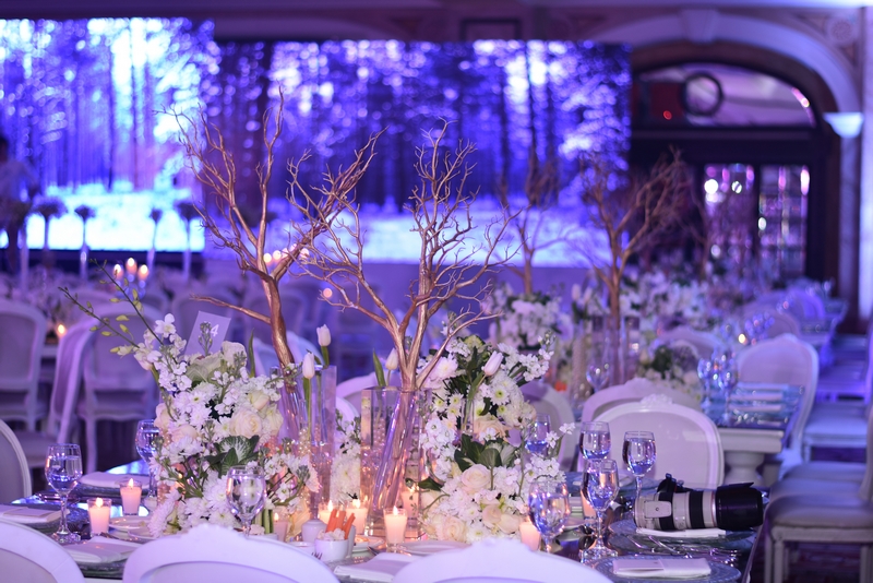 Wedding of Abbas Chamssedine and Manal Safa Part2